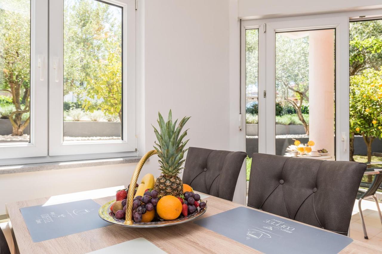 טרוגיר Villa Mihaela מראה חיצוני תמונה